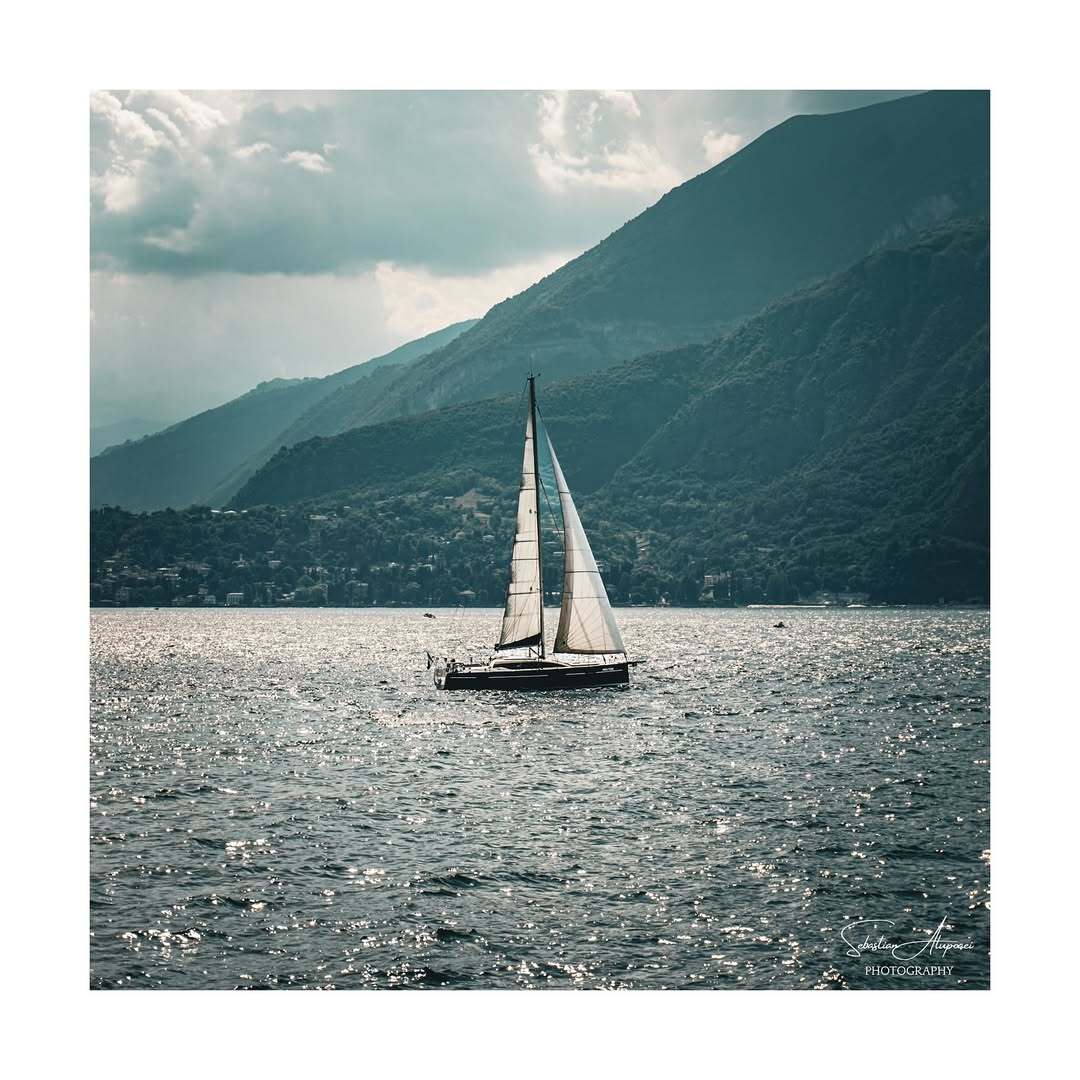 Fotografie portofoliu 4