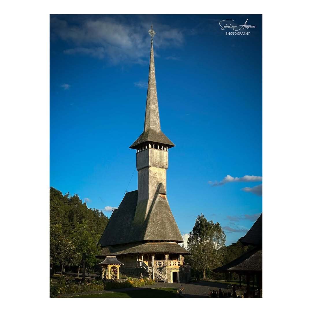 Fotografie portofoliu 5