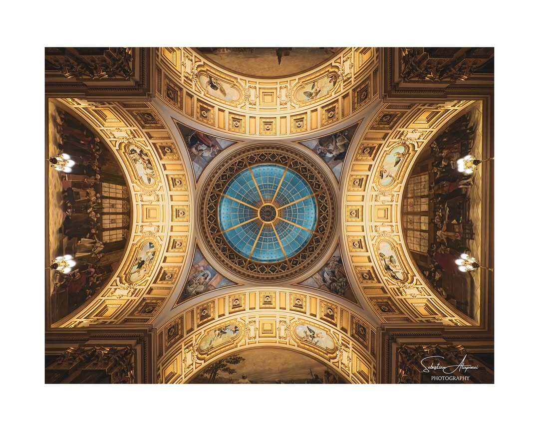 Fotografie portofoliu 6