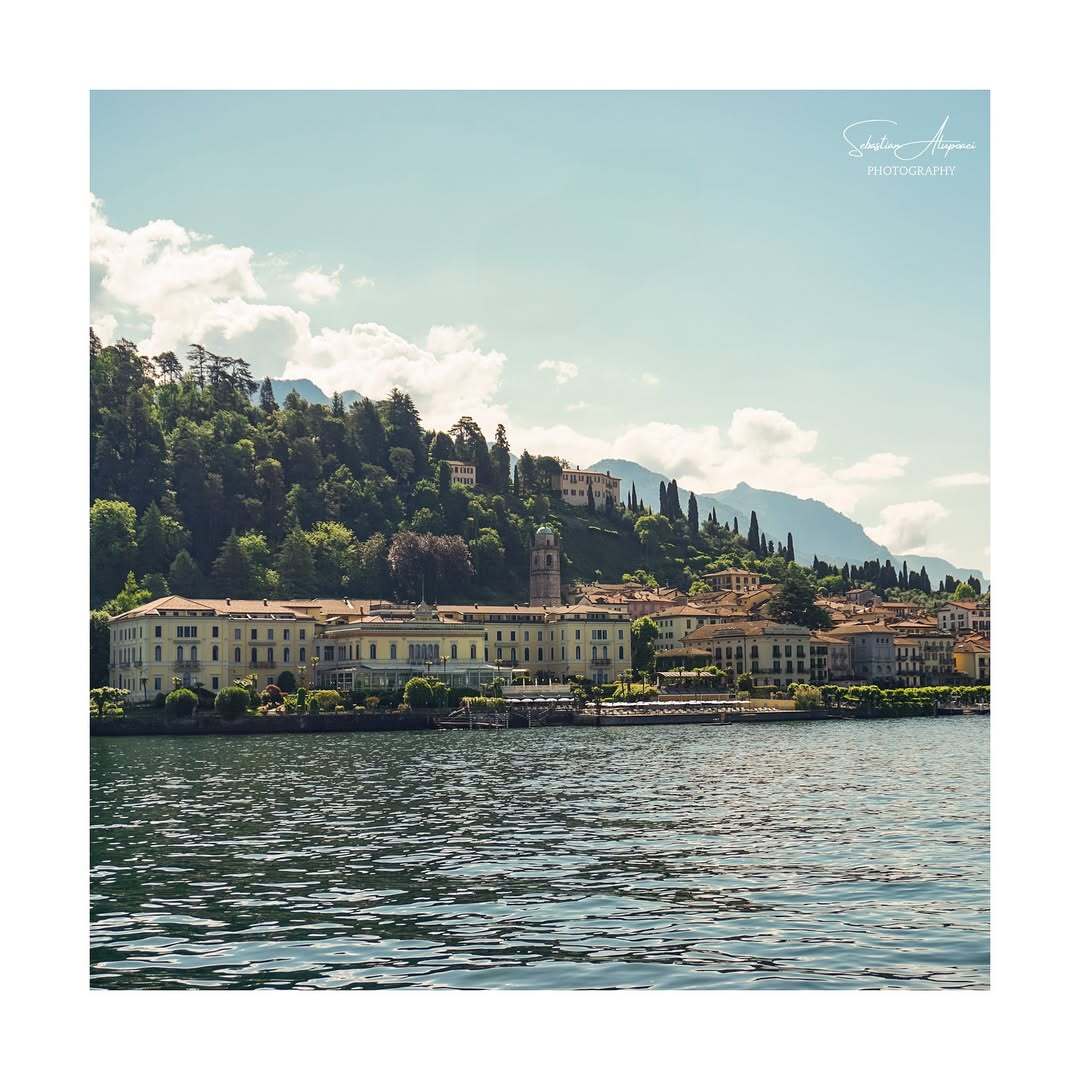 Fotografie portofoliu 8