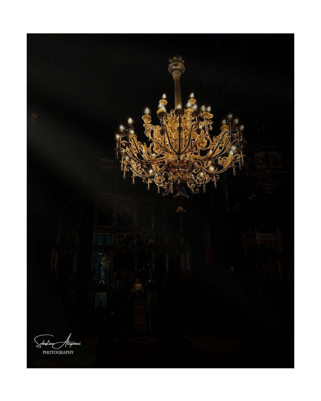 Fotografie portofoliu 9